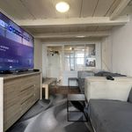 Rent 4 bedroom house of 59 m² in Noordenbergkwartier