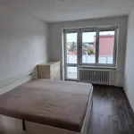 Rent 3 bedroom apartment in Břeclav