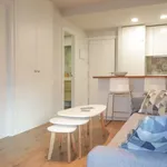 Rent 1 bedroom apartment in madrid