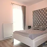 Rent 3 bedroom apartment of 53 m² in Szczecin