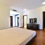 Rent 3 bedroom apartment of 170 m² in Bucuresti