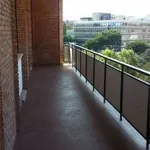 Rent 5 bedroom apartment of 170 m² in Rome