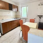 Rent 2 bedroom apartment of 50 m² in Brasov