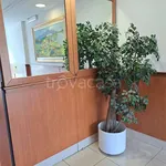 Rent 2 bedroom apartment of 48 m² in Pomezia