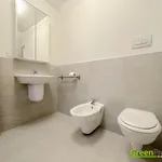 Rent 1 bedroom apartment of 102 m² in Prague