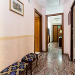 Rent 1 bedroom house in Rome