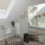 Rent a room in brussels