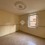 Affitto 3 camera appartamento di 86 m² in Palermo