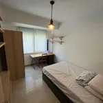 Rent a room in alicante