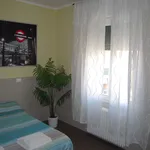 Rent 3 bedroom apartment in Bologna