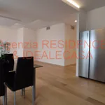 Rent 2 bedroom apartment of 150 m² in padova