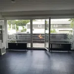 Miete 4 Schlafzimmer wohnung von 8736 m² in Marl