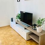 Rent 2 bedroom apartment of 60 m² in Dortmund