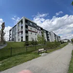 2 bedroom apartment of 721 sq. ft in Edmonton