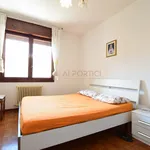 Rent 1 bedroom apartment of 50 m² in Adria