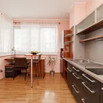 Rent 1 bedroom apartment of 32 m² in Ostrava