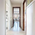 Rent 2 bedroom apartment of 50 m² in Firenze