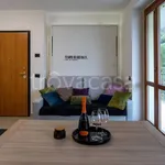 Rent 2 bedroom apartment of 50 m² in Argegno