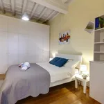 Rent 1 bedroom apartment in Florence