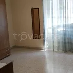 Rent 4 bedroom apartment of 100 m² in Campobasso