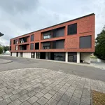 Rent 1 bedroom apartment of 50 m² in Alken