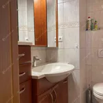 Rent 3 bedroom apartment of 78 m² in budapest