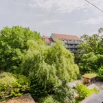 Rent 3 bedroom apartment of 87 m² in Basel