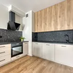 Rent 3 bedroom apartment of 65 m² in Łódź