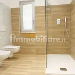 Rent 5 bedroom apartment of 120 m² in Bari