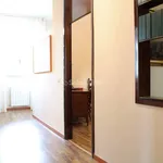 Rent 3 bedroom apartment of 115 m² in Cinisello Balsamo