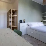 Rent 1 bedroom apartment of 35 m² in bologna