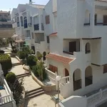 Rent 1 bedroom apartment of 45 m² in Elx / Elche