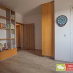 Pronajměte si 3 ložnic/e byt o rozloze 107 m² v Prague