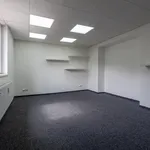 Pronájem bytu 4+kk 132m²