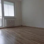 Rent 1 bedroom apartment in Bruntál