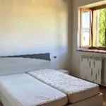 Rent 2 bedroom apartment of 50 m² in Borgo San Lorenzo