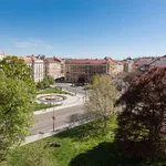 Pronajměte si pokoj o rozloze 113 m² v prague