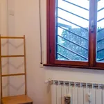 Rent 1 bedroom apartment of 45 m² in rome