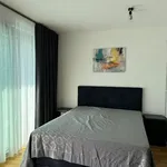 Pronajměte si 1 ložnic/e byt o rozloze 45 m² v Prague