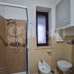 Rent 2 bedroom apartment of 55 m² in Brindisi