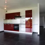 Rent 2 bedroom apartment in Frameries