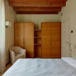 Rent 1 bedroom apartment in milan