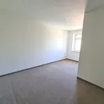 Rent 4 bedroom apartment of 100 m² in Chemnitz