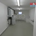 Pronajměte si 1 ložnic/e dům o rozloze 412 m² v Prague