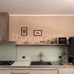 Rent 2 bedroom apartment of 50 m² in Biella