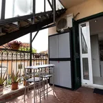 Rent 1 bedroom apartment in Rome