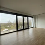 Miete 2 Schlafzimmer wohnung von 132 m² in Bremen