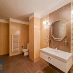 Rent 3 bedroom apartment in Praha 1