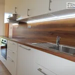 Rent 3 bedroom apartment of 90 m² in Brno