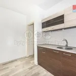 Rent 1 bedroom apartment in Ústí nad Labem